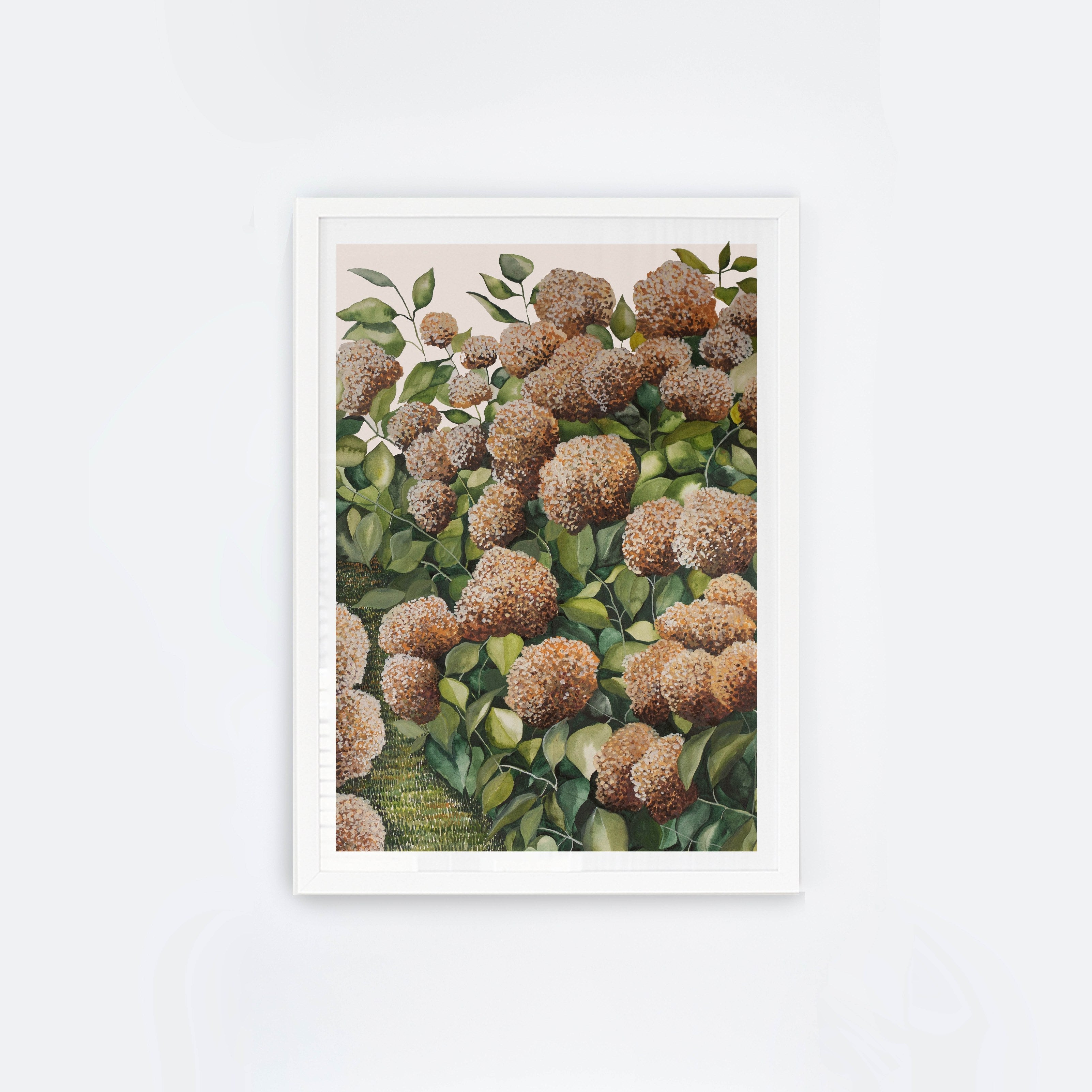 Bronze Hydrangea II