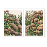 Bronze Hydrangea Pair