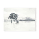 Lake Wanaka Landscape