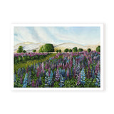Lupin Fields Landscape