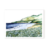 Whangarei heads Landscape