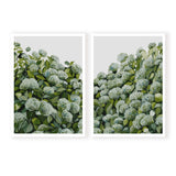 Sage Hydrangea Pair