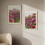 Pink Hydrangeas Pair