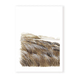 Beachgrass I