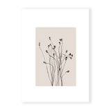 Beige Grass