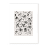 Daisy Field