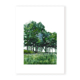 Forest II