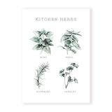 Kitchen Herbs