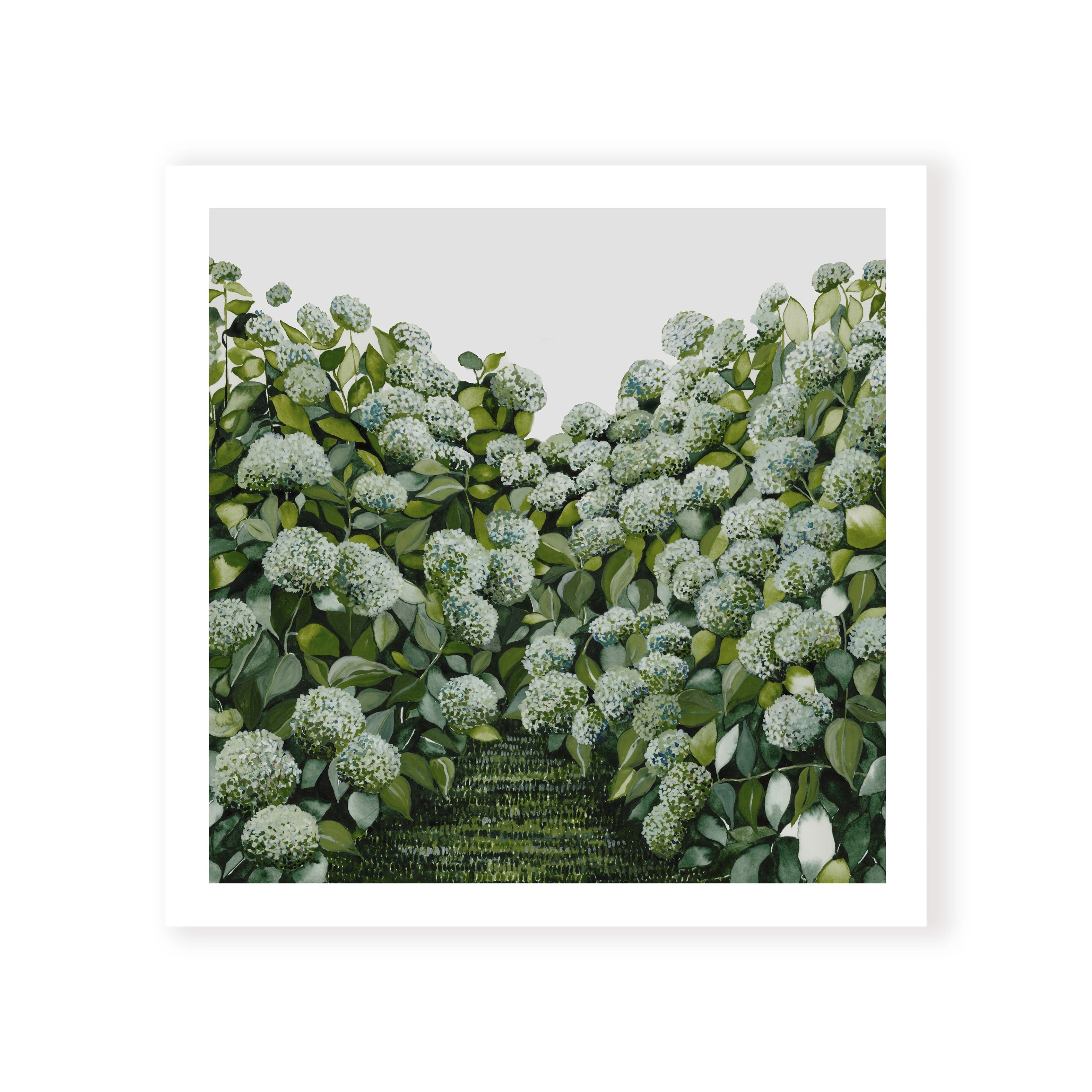 Sage Hydrangea Square – Leden Design
