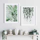 Spike Palm