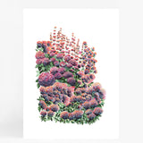 Eden Garden III