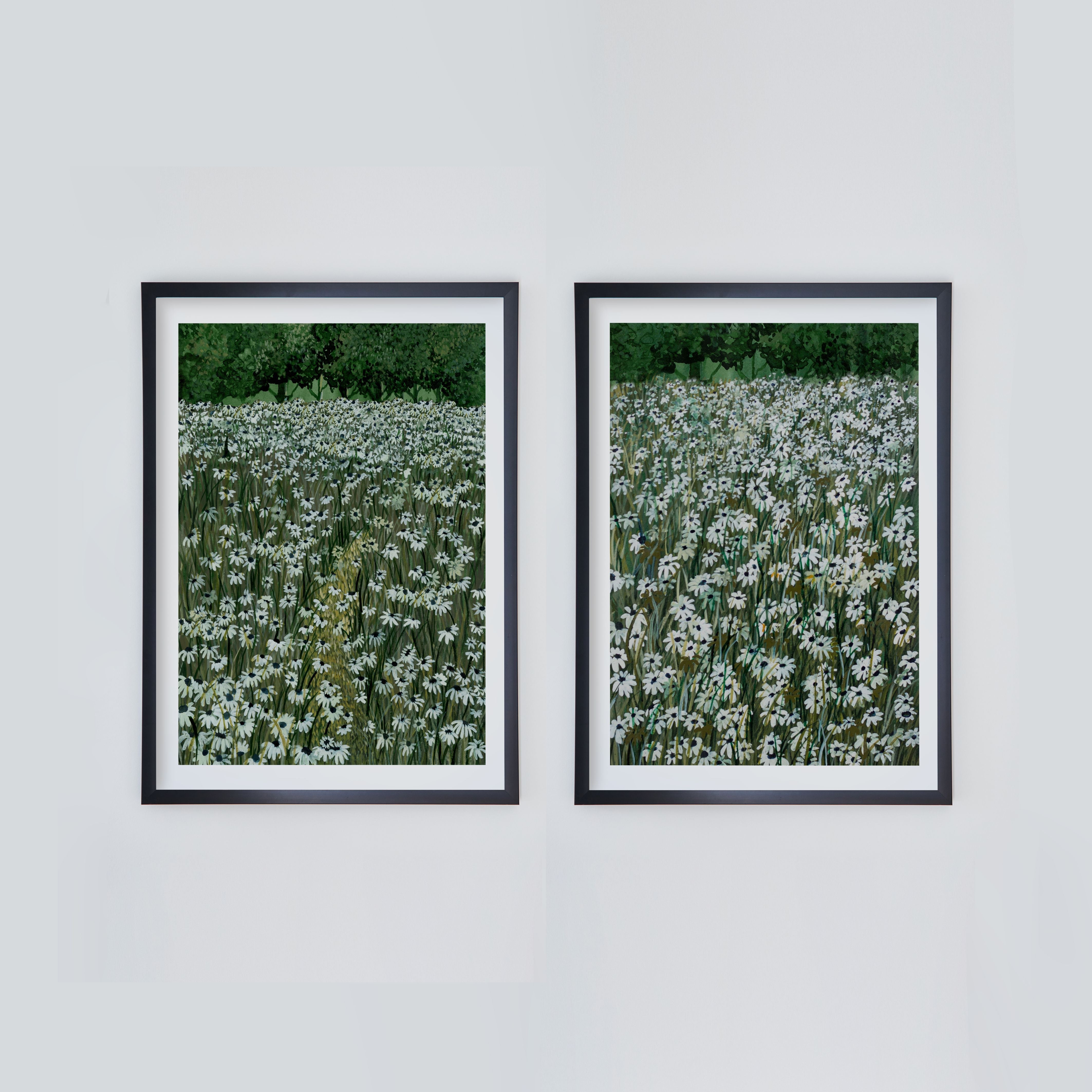 Daisy Meadow Pair