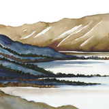 Hawea Landscape