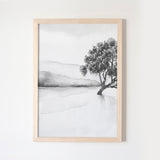 Lake Wanaka I