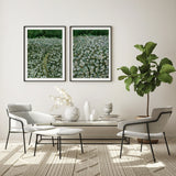Daisy Meadow Pair