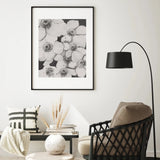 Poppy Flowers