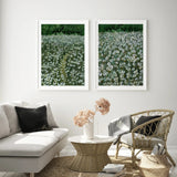Daisy Meadow Pair