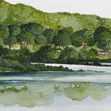 Rangitoto Landscape
