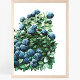 Royal Hydrangeas II