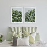 Sage Hydrangea Pair