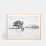 Lake Wanaka Landscape