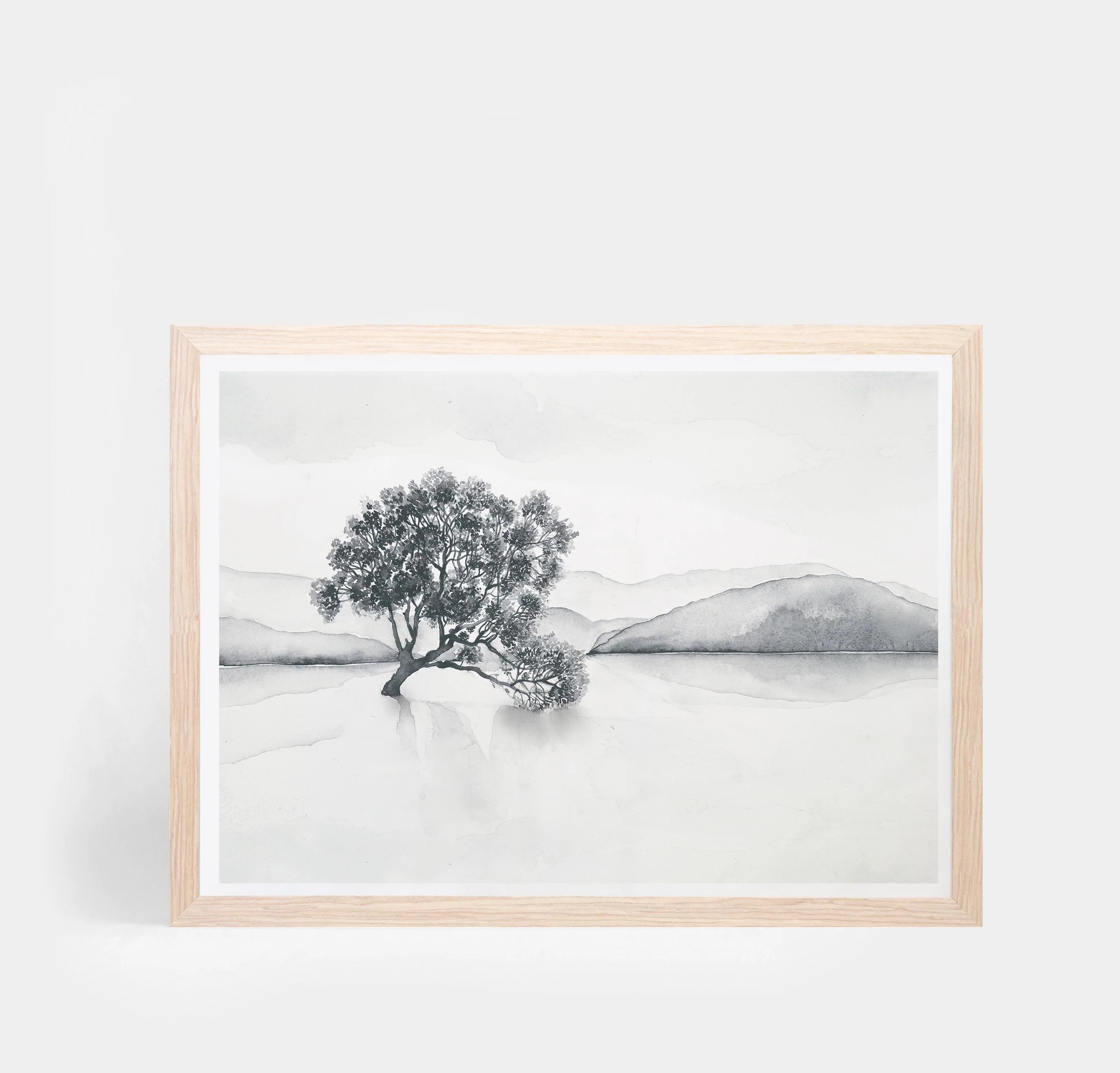 Lake Wanaka Landscape