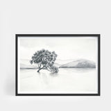 Lake Wanaka Landscape