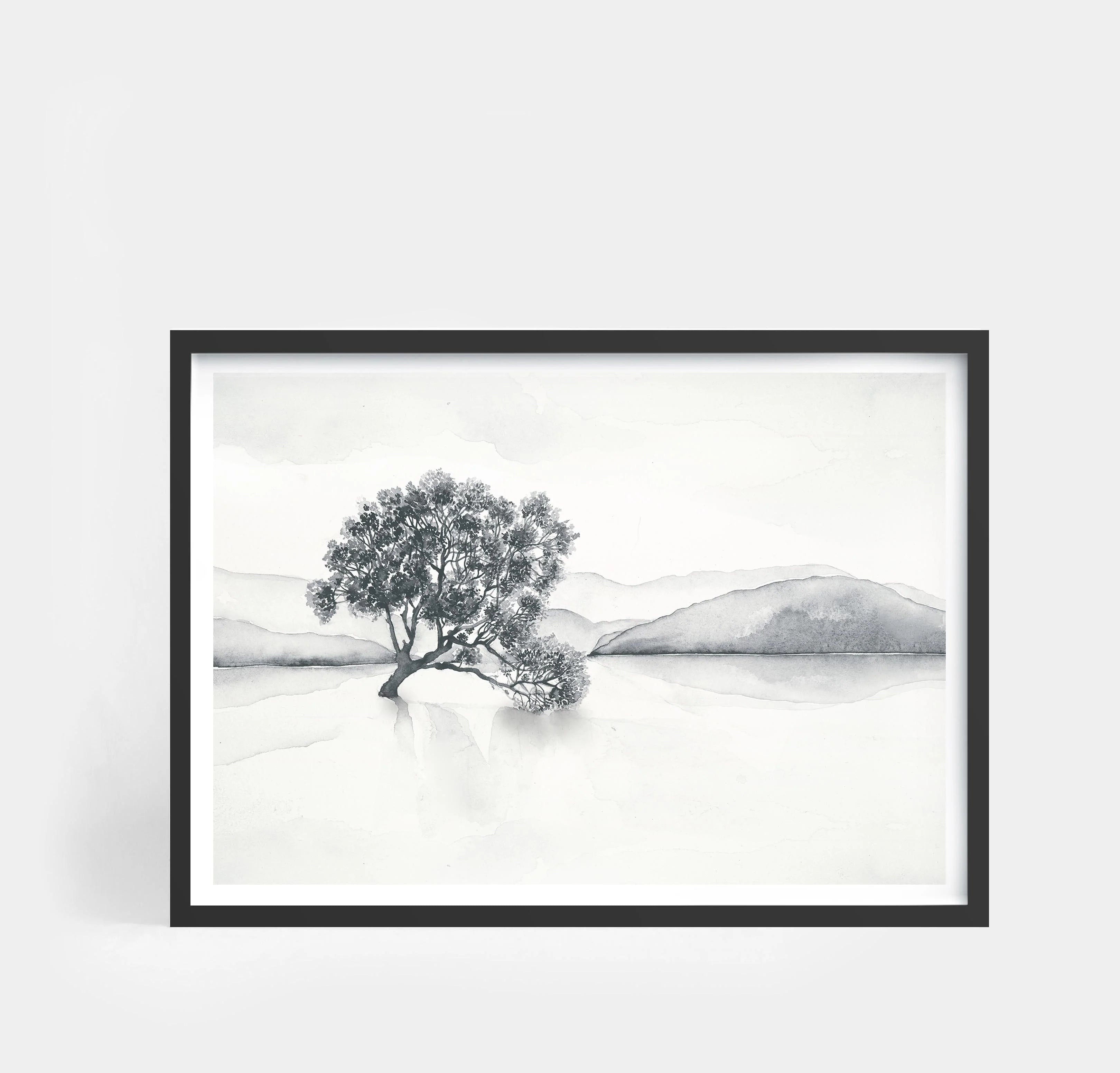 Lake Wanaka Landscape