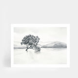 Lake Wanaka Landscape