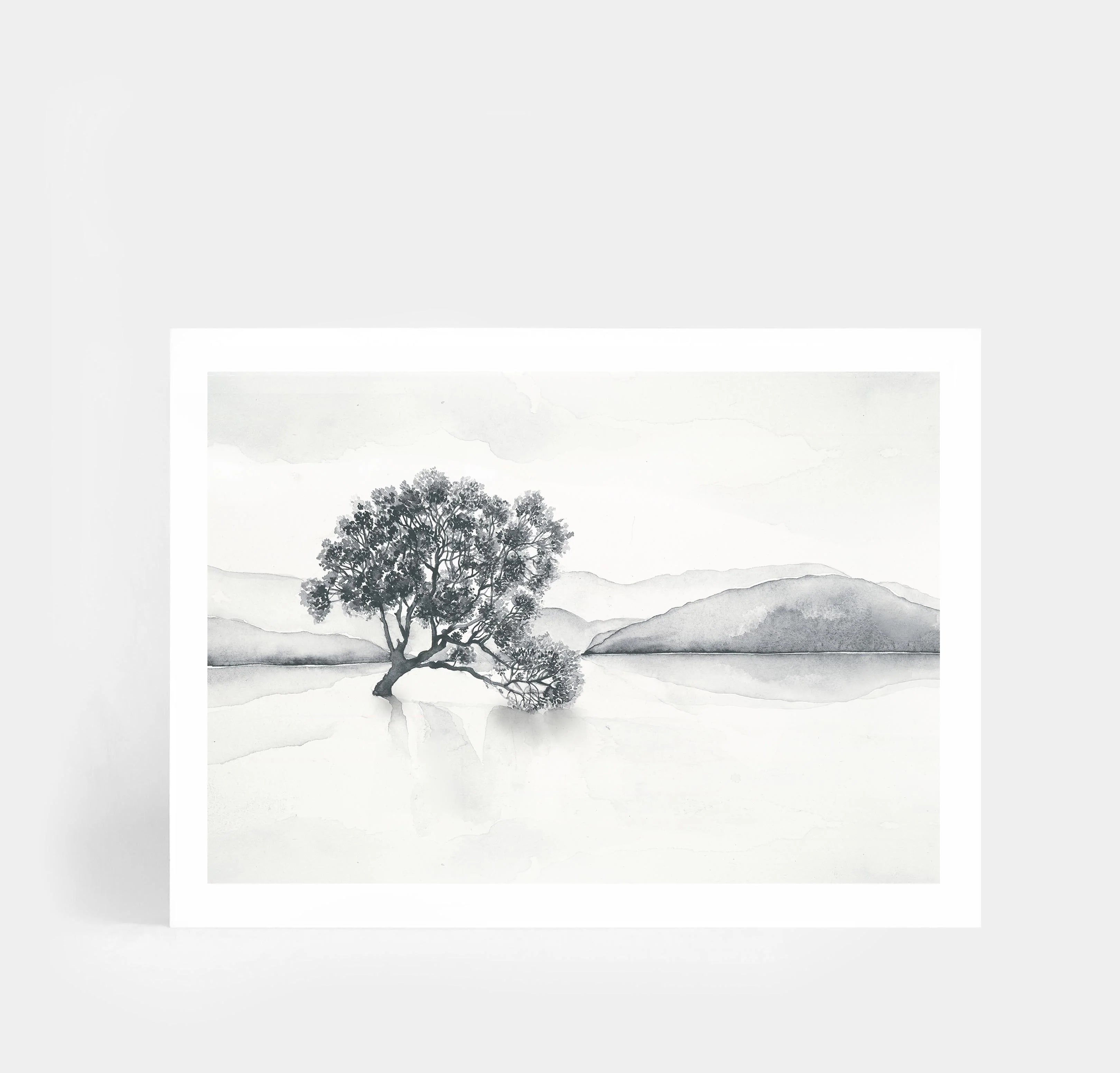Lake Wanaka Landscape