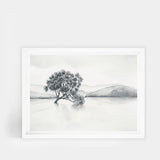 Lake Wanaka Landscape