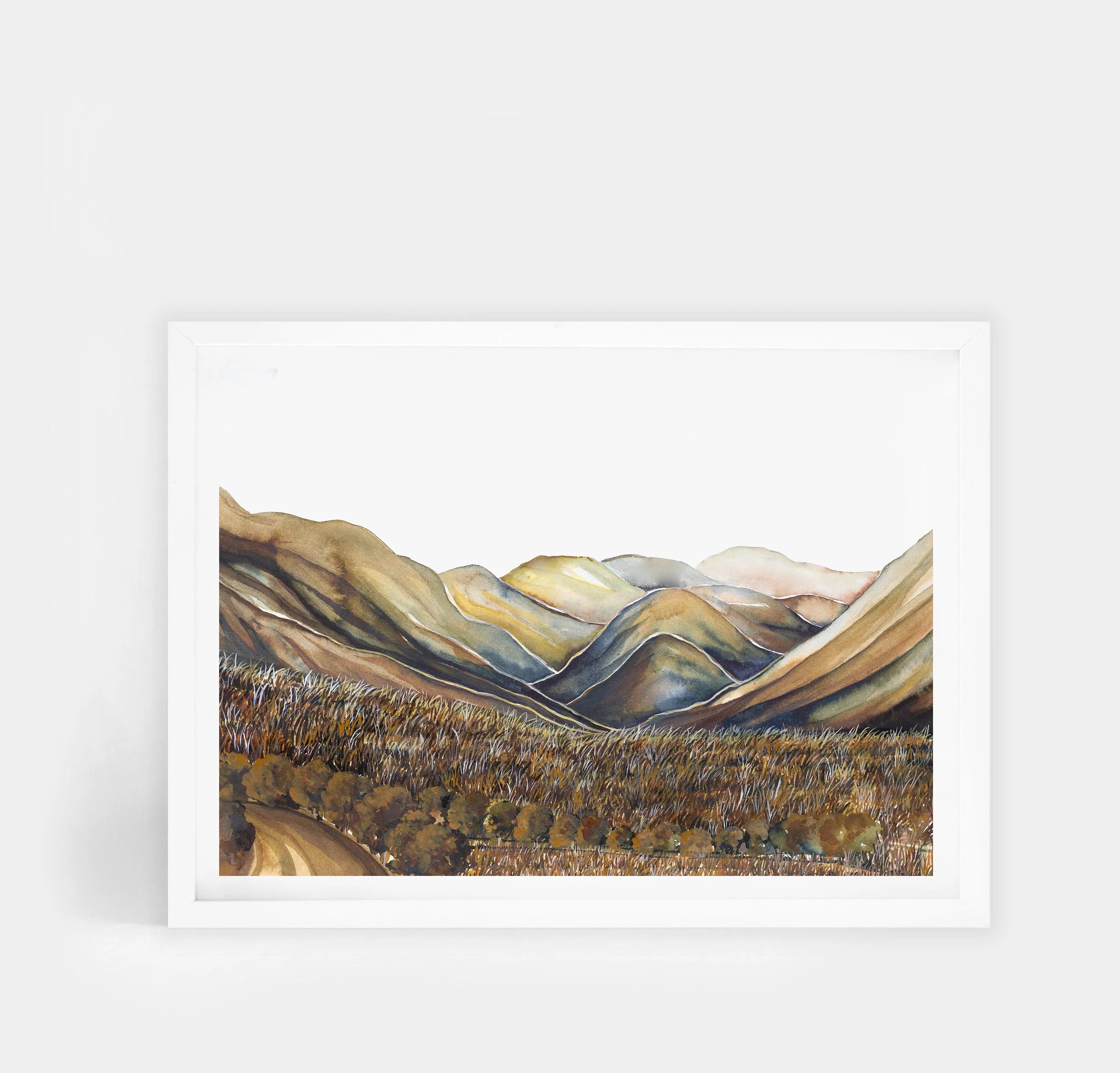 Ahuriri Valley Landscape