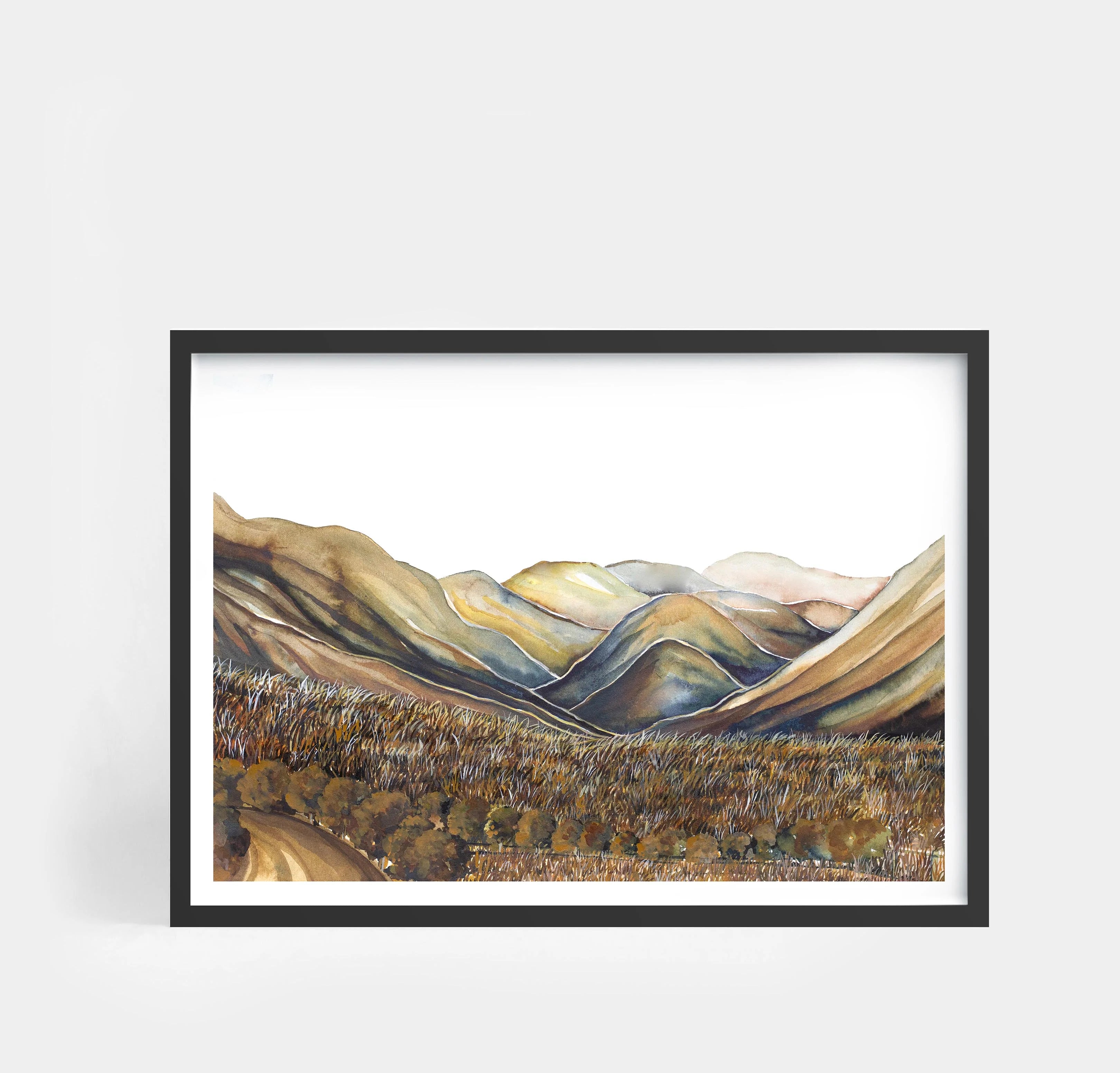 Ahuriri Valley Landscape