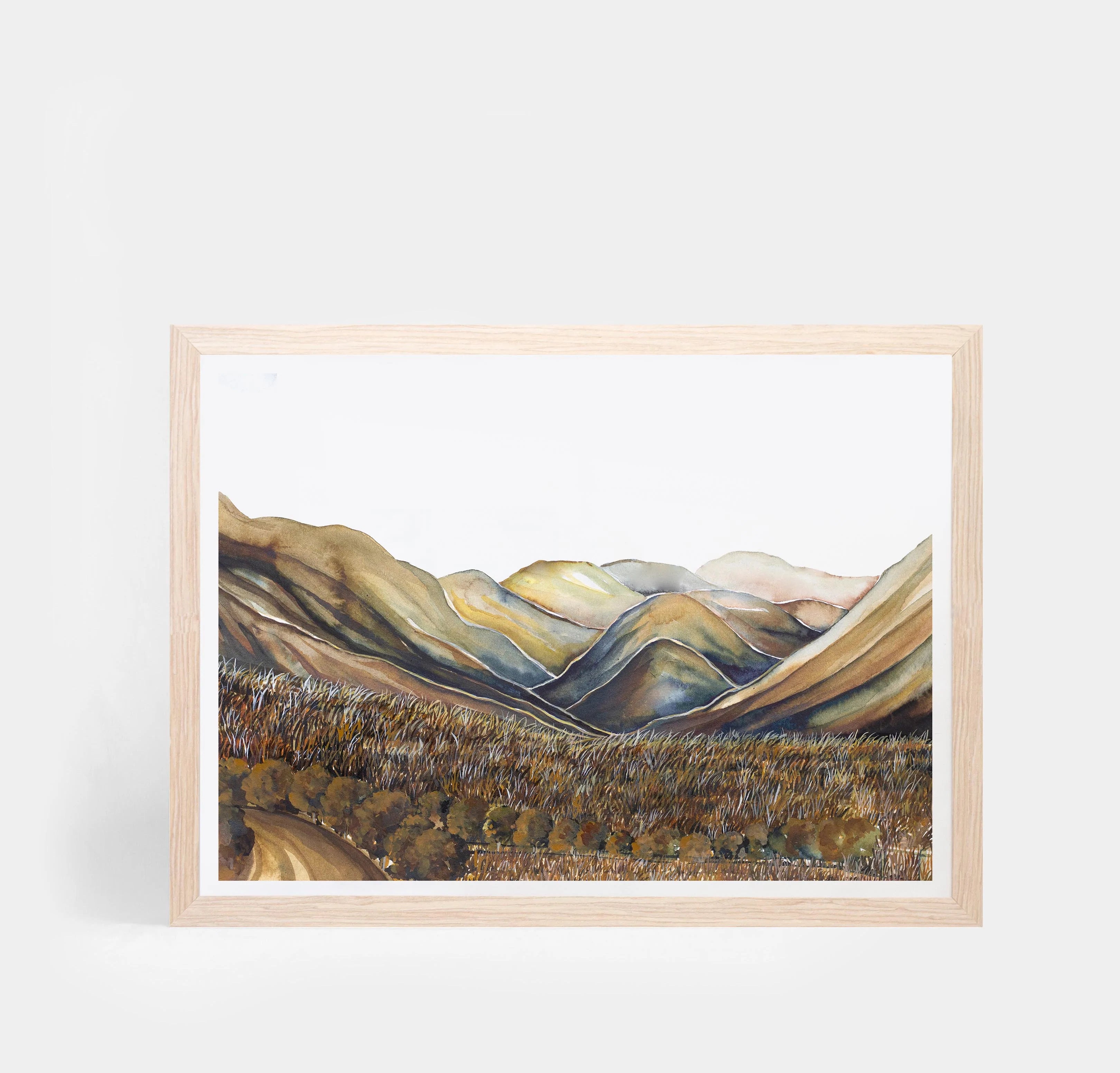 Ahuriri Valley Landscape