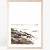 Beachgrass II