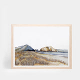 Whatipu Dunes Landscape