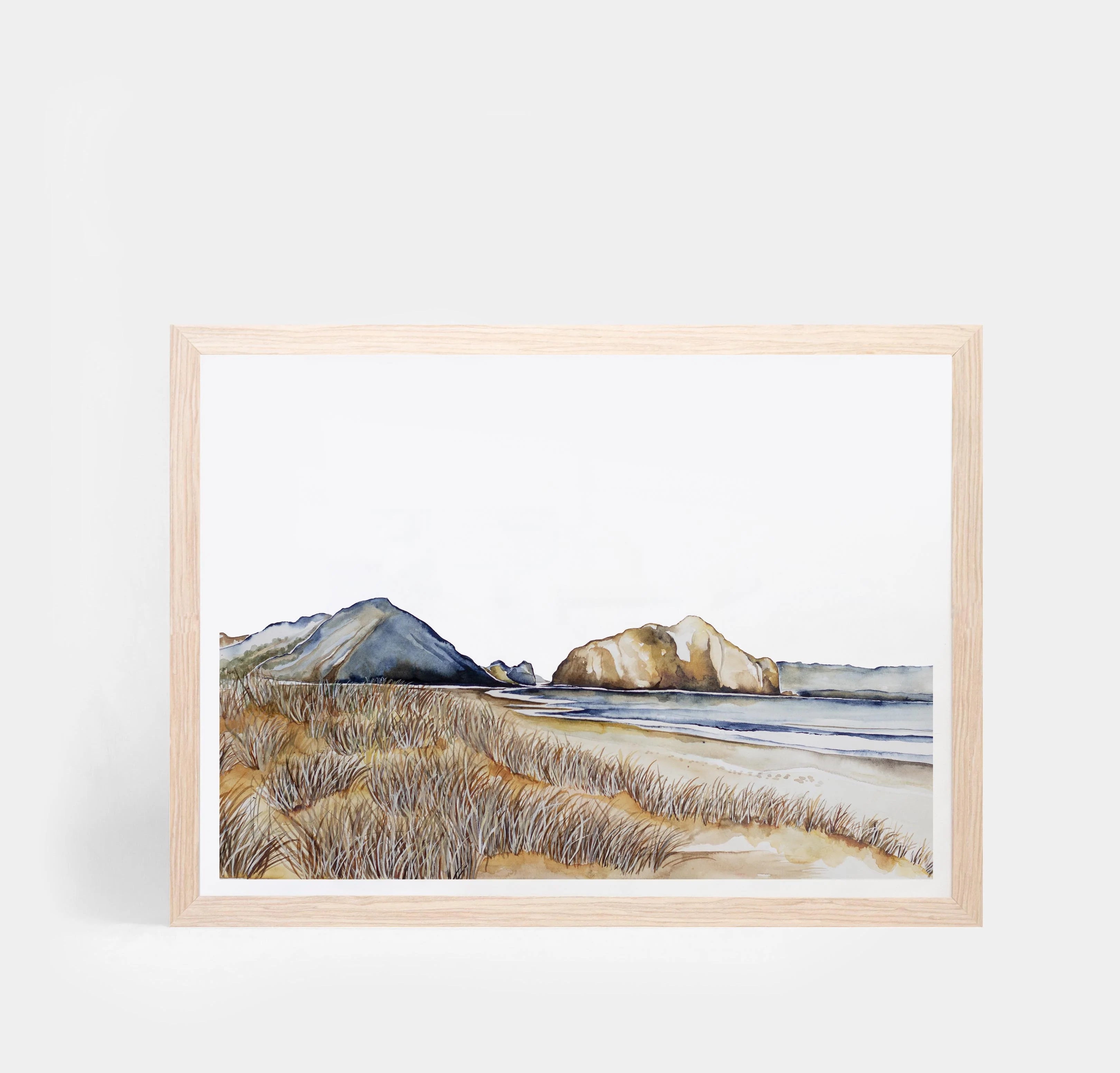 Whatipu Dunes Landscape
