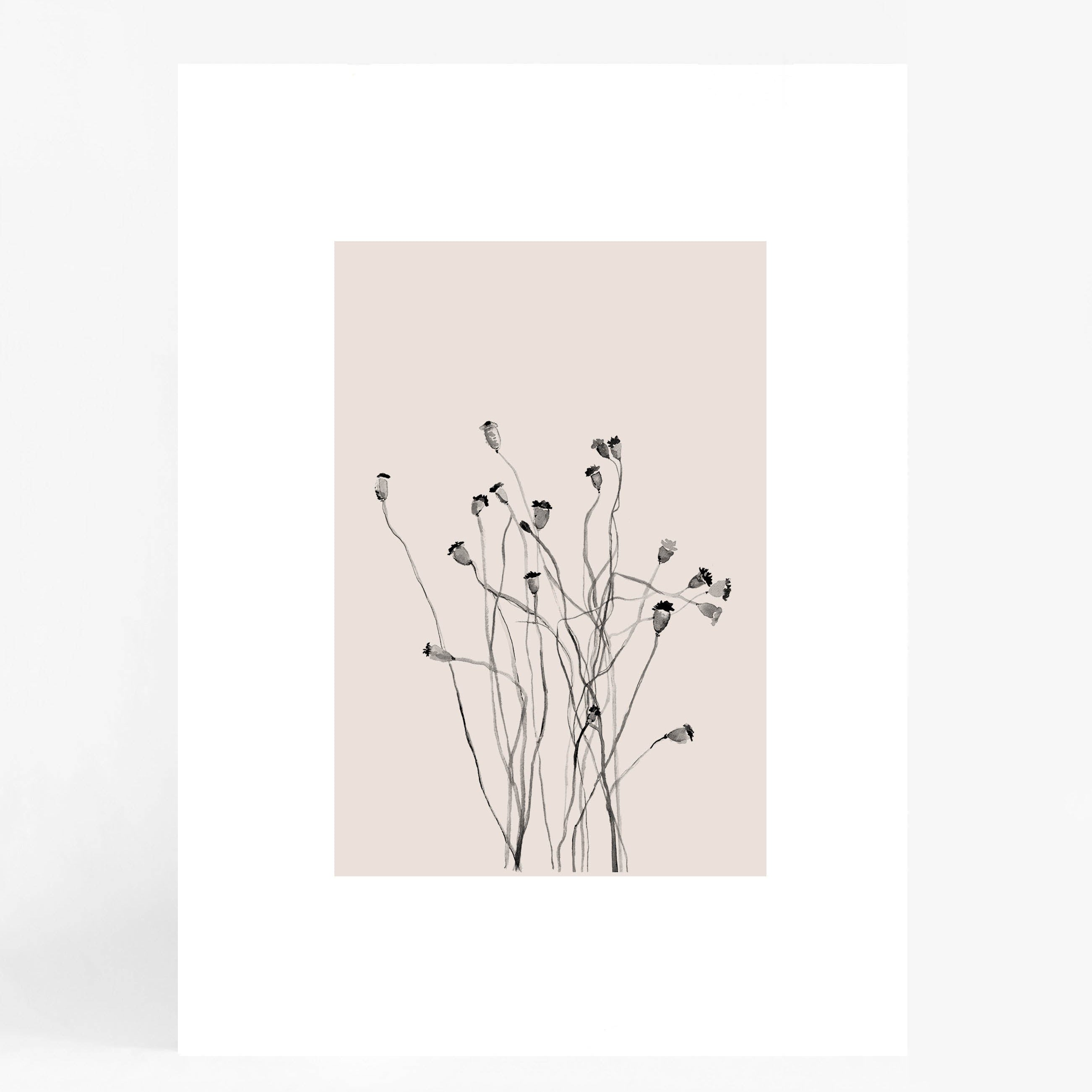 Beige Grass