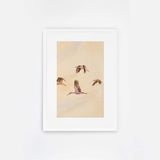 Birdscape II