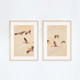 Birdscape Pair