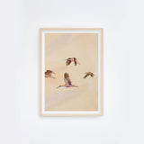 Birdscape II