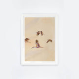 Birdscape II