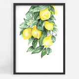 Lemons