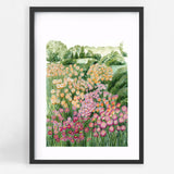 Flower Fields