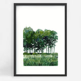 Forest II