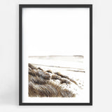 Beachgrass II