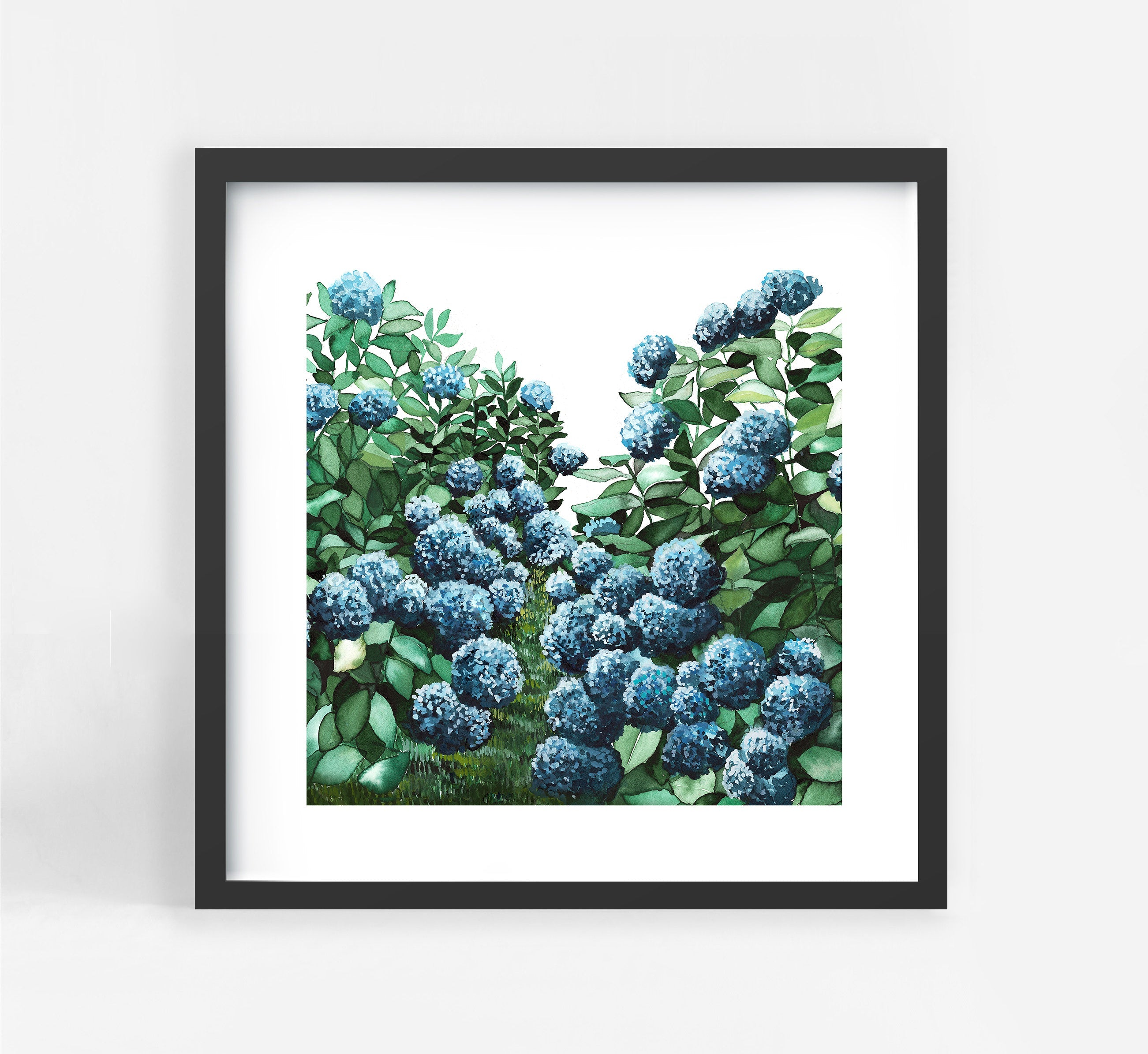Hydrangea Square