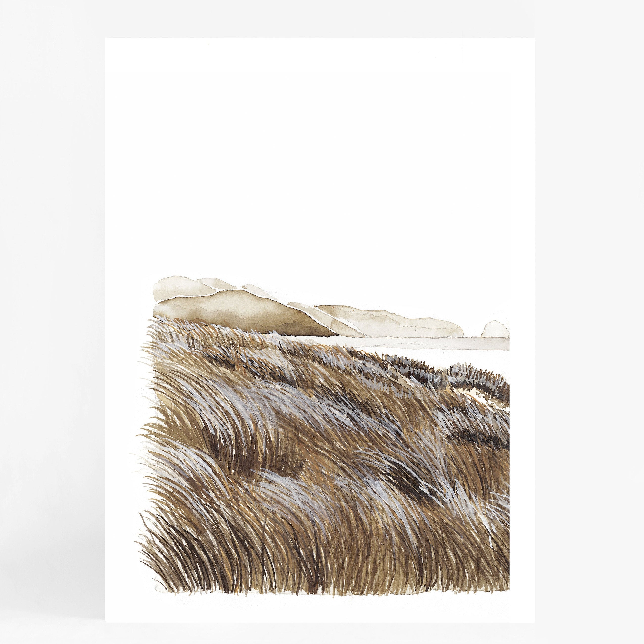 Beachgrass I