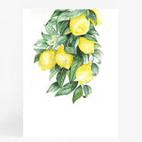 Lemons