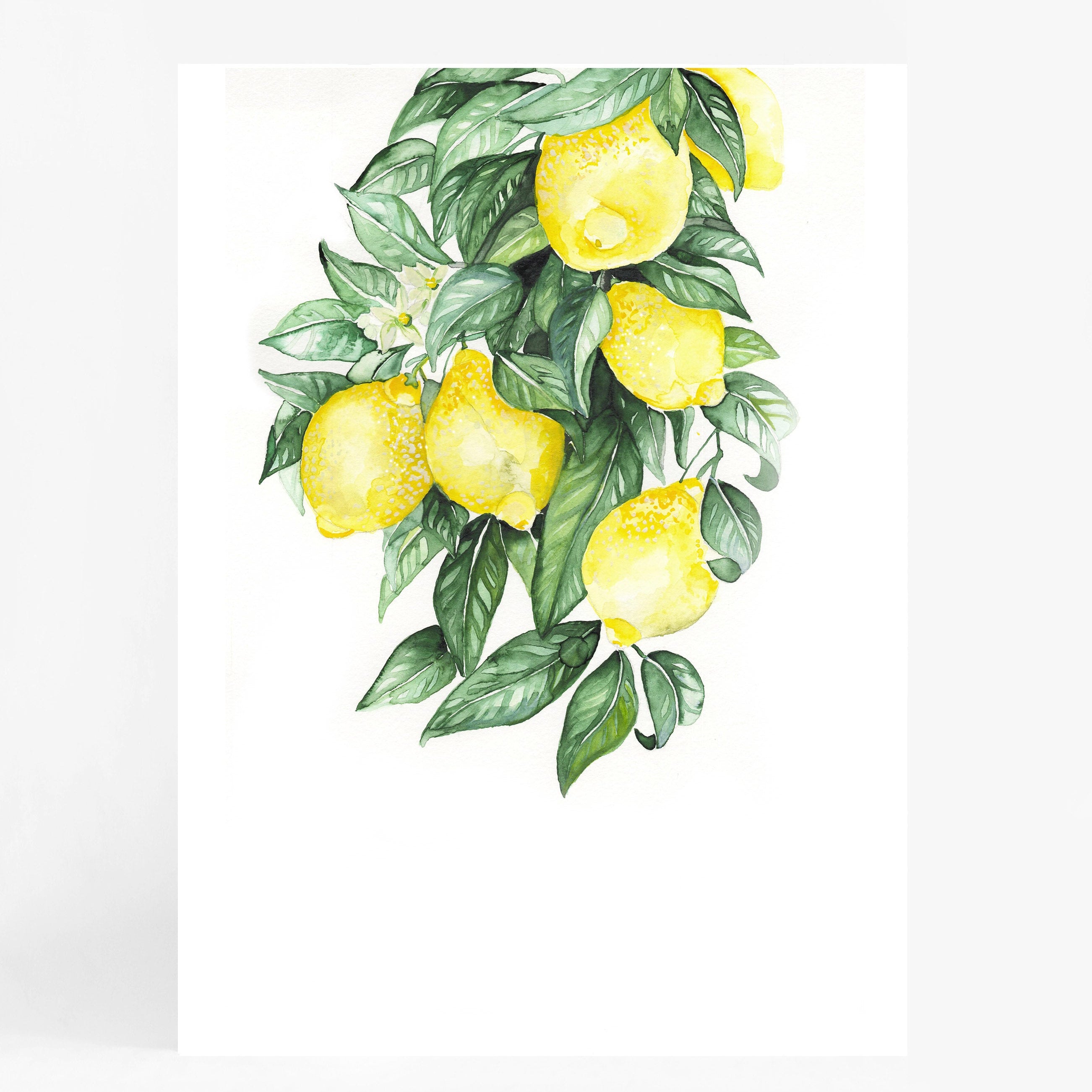 Lemons
